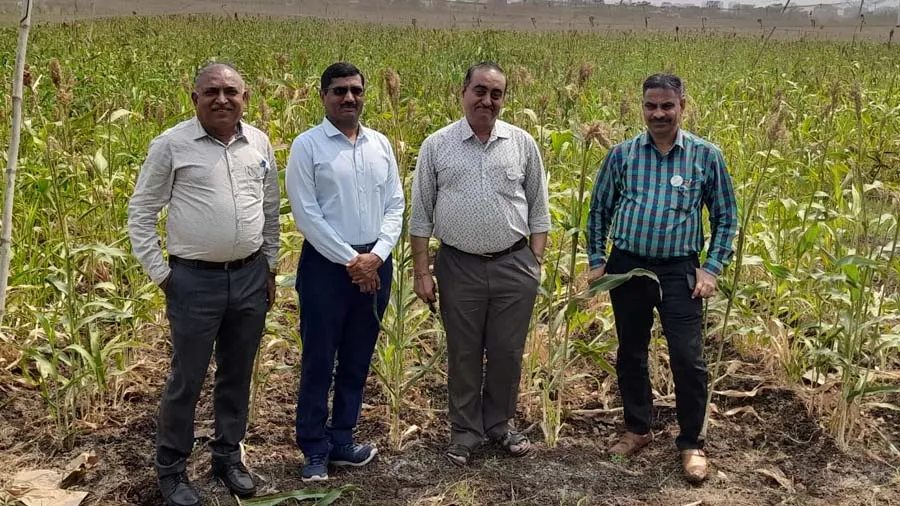 આધુનિક ખેતપદ્ધતિ અપનાવીને ખેડૂતો બમણી આવક મેળવી શકે છેઃ રાજ્યના ખેતી નિયામક