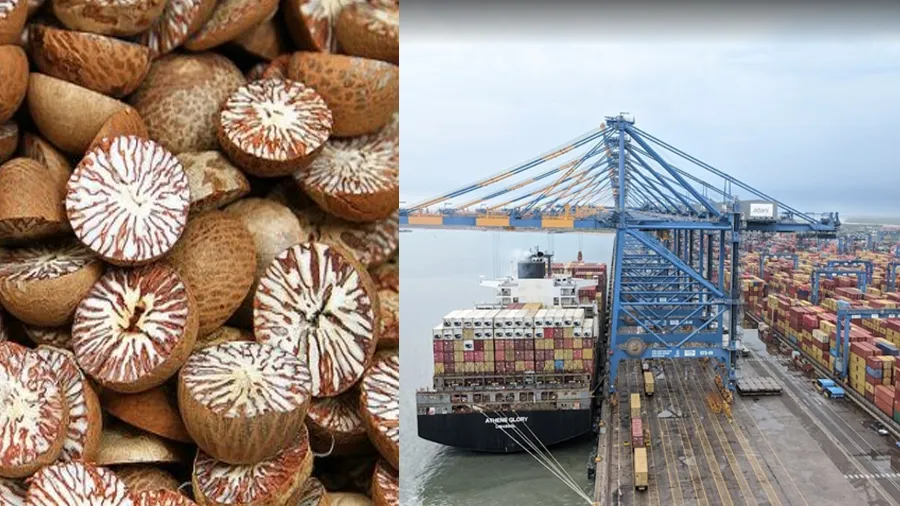 કચ્છના મુંદ્રા પોર્ટમાં DRI આટલા કરોડની સોપારી ઝડપી