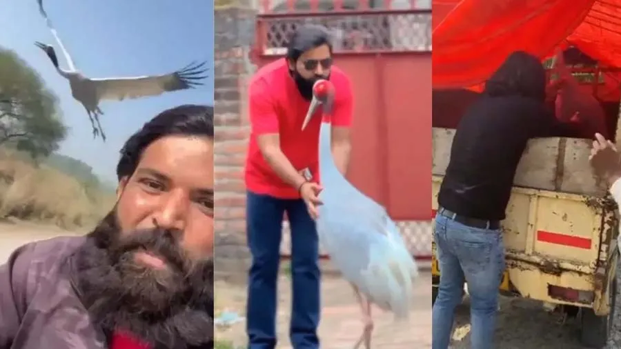 આરીફના મિત્ર સારસને વન વિભાગ લઈ ગયું, ત્યાંથી ગાયબ, હવે બધા શોધી રહ્યા છે