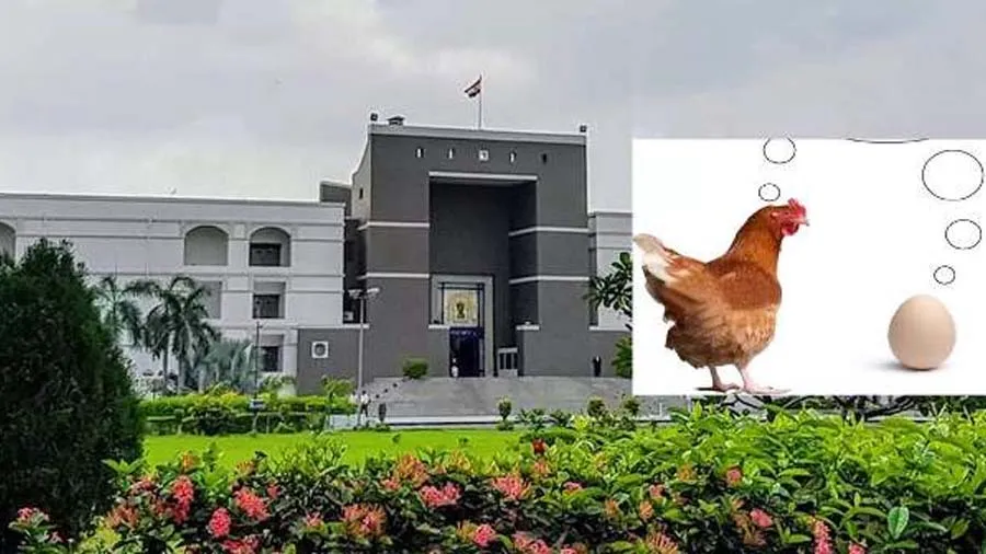 મરઘા પક્ષી છે કે પ્રાણી? ગુજરાતમાં નવી ચર્ચા વચ્ચે ચિકન શોપ બંધ!