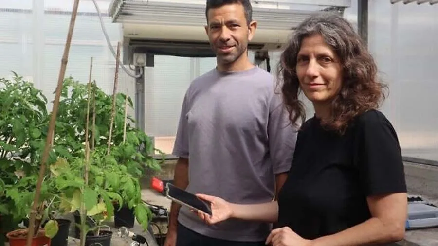 છોડ તમારો અવાજ અનુભવે છે જ્યારે તણાવ આવે અને કાપવામાં આવે ત્યારે ચીસો પાડે છે