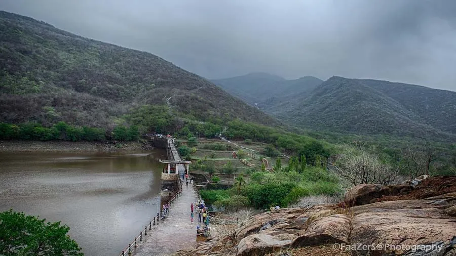 જૂનાગઢમાં મેસેજ વાયરલ થયો કે ડાયનાસોરના 2 બચ્ચા, 3 ઈંડા મળ્યા છે પછી શું...