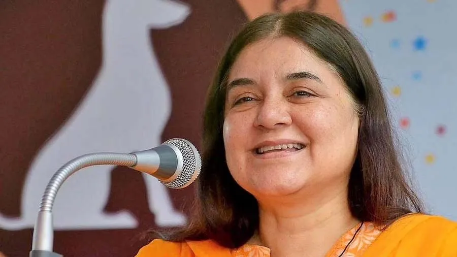 મેનકા ગાંધી કહે ગધેડાના દૂધથી બનેલો સાબુ 500 રૂ.માં વેચાઈ છે, સ્ત્રીઓને સુંદર...