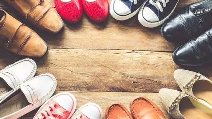 બુટને પેઈન્ટીંગનું કામ,મહિને રૂ.2 લાખ કમાણી,વિશ્વાસ નહીં આવે,US, યુરોપ સુધી માગ