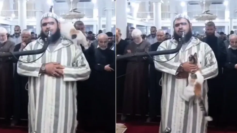 રમઝાનની નમાજ અદા કરતા ઈમામ પર બિલાડી ચઢી, પછી શું થયું જુઓ વીડિયો