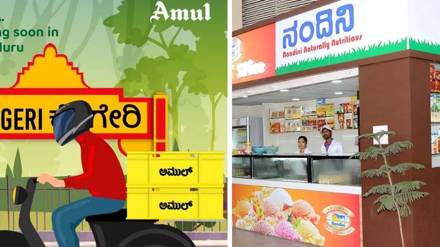 કર્ણાટકમાં મિલ્ક વોર, જાણો, અમૂલ vs નંદિનીનો વિવાદ શું છે?