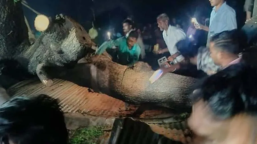 મંદિર ઉપર પડ્યું ભારે ભરખમ વૃક્ષ, 7 લોકોના મોત, 30ની હાલત ગંભીર