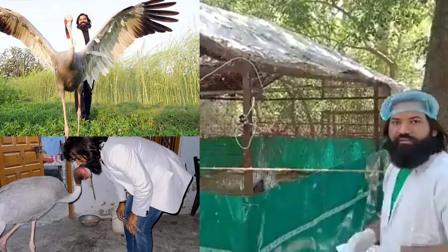 પાંજરામાં બંધ સારસને તેનો મિત્ર આરિફ મળવા પહોંચ્યો, ખુશીથી ઉછળી પડ્યું, Video