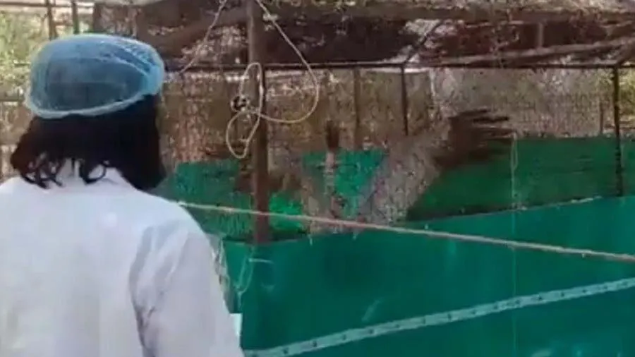 સારસને પિંજરામાં બંધ જોઈ બેચેન છે આરીફ, કહ્યું-ખૂબ જ પરેશાન છું, તેને છોડી મૂકો