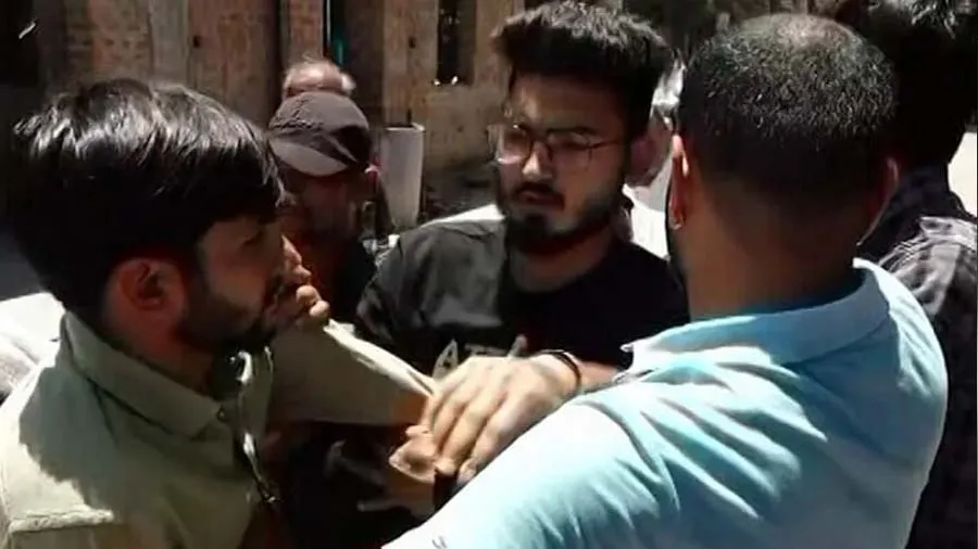 રાજકોટની મારવાડી યુનિવર્સિટીમાં ગાંજાના છોડ, પત્રકારો ગયા તો ધક્કે ચઢાવ્યા