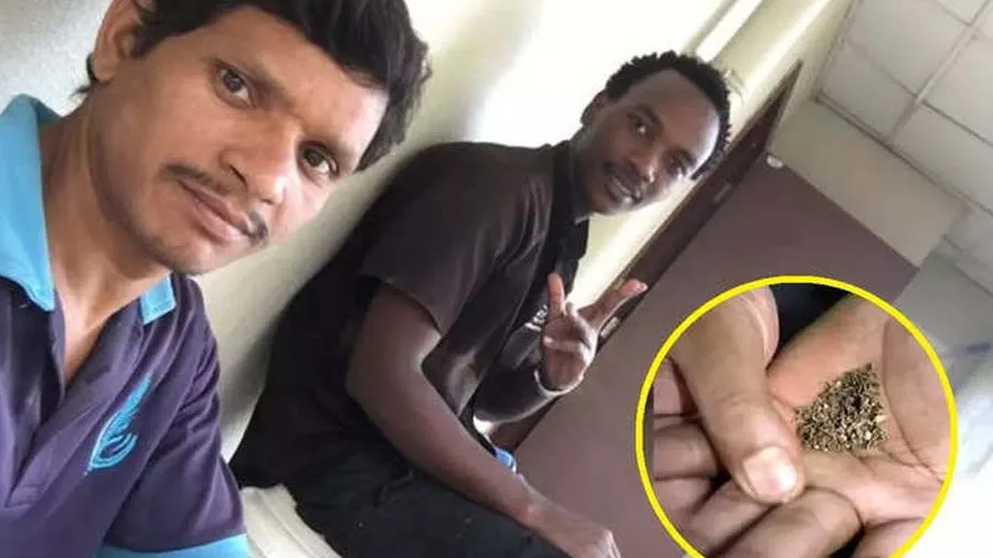 ભારતીય સાથે 3 મહિના રહીને વિદેશી પણ તમાકુ ખાતો થઇ ગયો