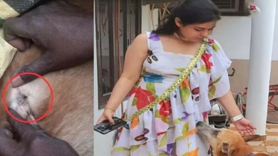 બાળકની જેમ પાલન-પોષણ કર્યું, કૂતરાની હત્યા પર FIR, કરાવ્યું પોસ્ટમોર્ટમ