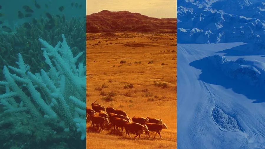 તીવ્ર ગરમી, અનાજ કટોકટી, મોત, બદલાતું હવામાનની જિંદગી પર ઊંડી અસર, UNને ચિંતા