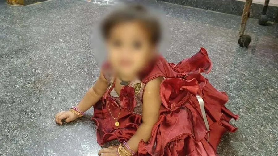 ઘરના ફળીયામાં રમતી દોઢ વર્ષની બાળકી પર રખડતા કૂતરાઓએ હુમલો કરી મારી નાંખી