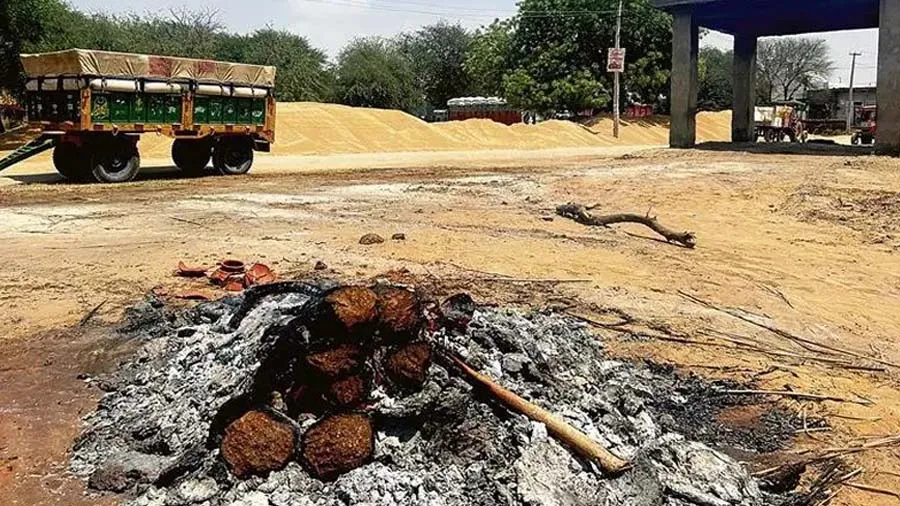 ખેડૂતોને ક્યાંક સ્મશાનમાં તો ક્યાંક હાઇવે પર ઘઉં રાખવાની ફરજ પડી, જાણો કેમ