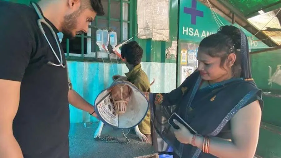 પીટબુલ દીકરી પર ભસતો હતો,માણસે તોડી નાખ્યું જડબું અને 8 દાંત, 70 હજારનો ખર્ચ થયો