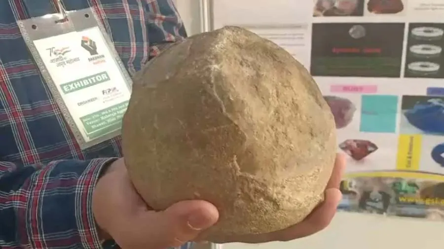 ગુજરાતમાં 7 કરોડ વર્ષ પહેલાં ડાયનાસોરનું ઇંડુ મળ્યું હતું, 2 કિલો વજન ધરાવે છે