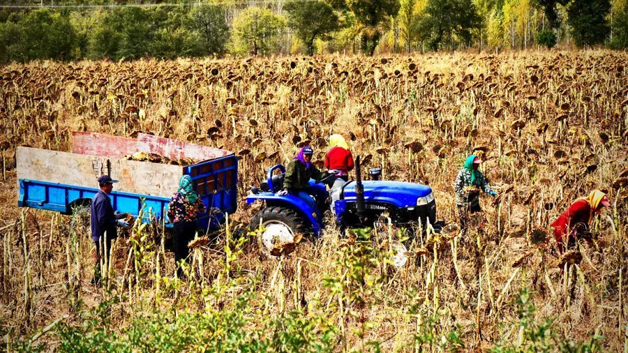 કૃષિ ઈન્ફ્રાસ્ટ્રક્ચર ફંડ સ્કીમમાં ખેડૂતો કેમ ઓછા રસ દાખવે છે