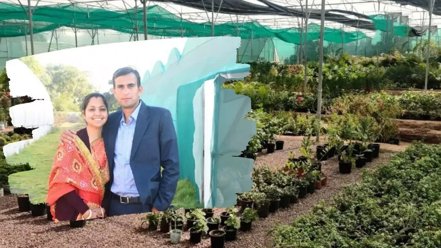 MBA લલિત અને CA પત્ની, કરી રહ્યા છે રણમાં ખેતી, ગુજરાતથી મળી પ્રેરણા