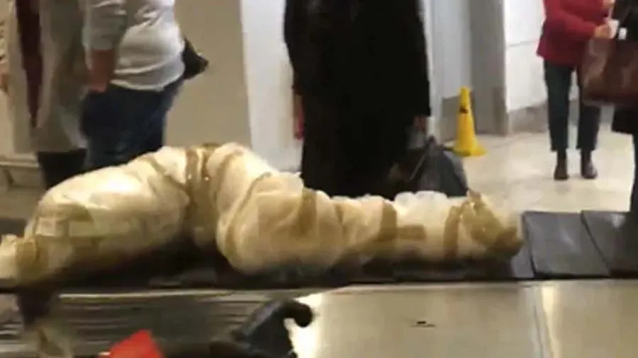 એરપોર્ટના લગેજ બેલ્ટ પર પહોંચ્યો વિચિત્ર પેકિંગવાળો સામાન, જોતા જ રહી ગયા લોકો