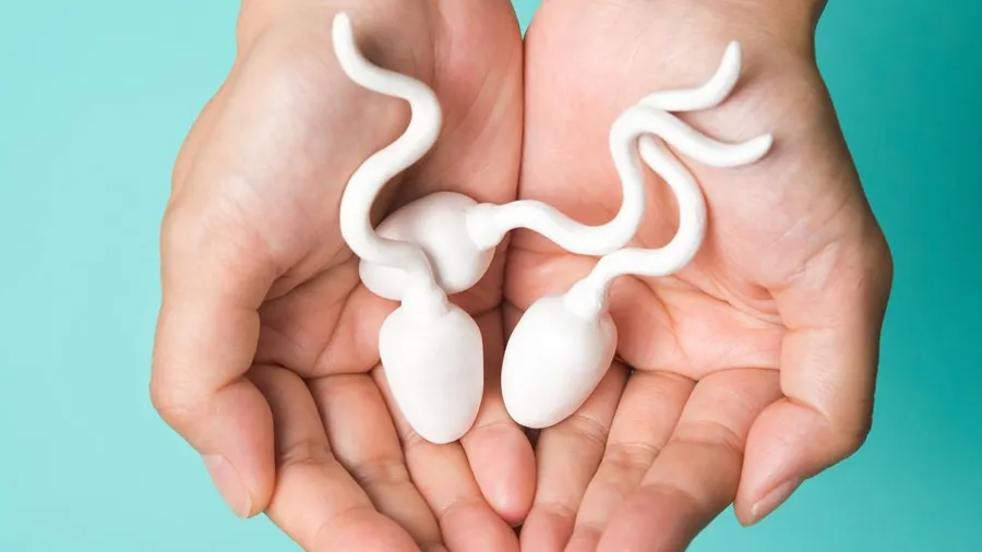 વીર્યનું રોજ બેકાર જવું પડી શકે છે ભારે, રાખો સાવધાની