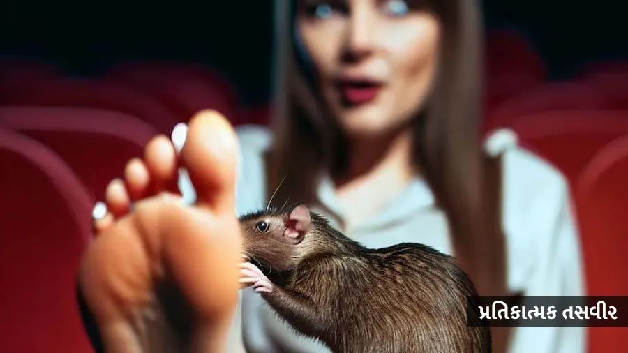 સિનેમાઘરમાં મહિલાને ઉંદર કરડ્યો, થિએટર ફ્રી ટિકિટ આપી પતાવવું હતું પણ કોર્ટે...