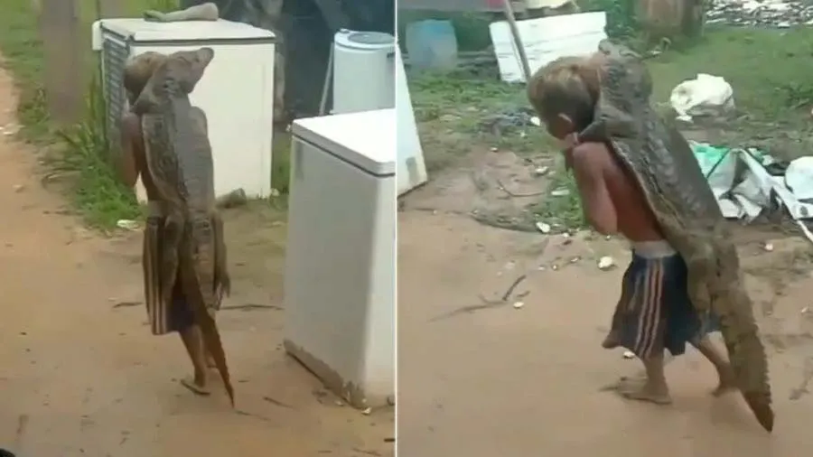 પીઠ પર મગર લઈને મસ્તીમાં ચાલતો બાળક જોવા મળ્યો, વીડિયો જોઈને રુંવાટા ઉભા થઇ જશે