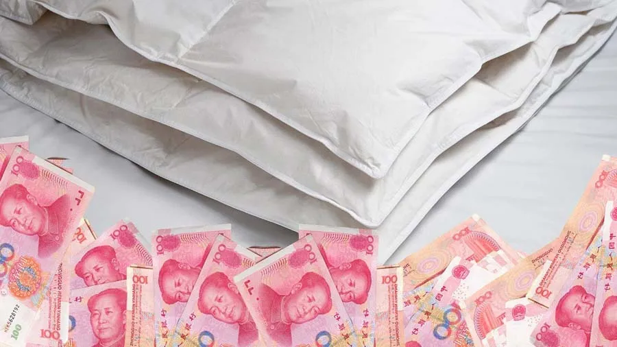 પતિએ રજાઇમાં છુપાવ્યા આટલા પૈસા, રજાઇને ધોઈને સુકવતાં જ પત્ની ચોંકી ગઇ