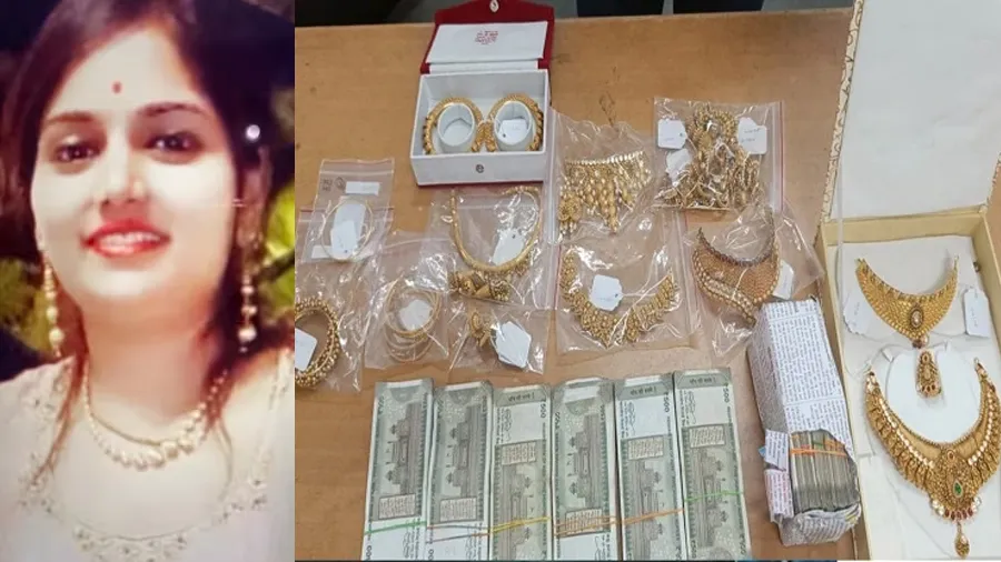 એક વોટ્સએપ ડીપીએ ખોલ્યું 50 લાખ રૂપિયાની ચોરીનું રહસ્ય, નોકરાણી જ...