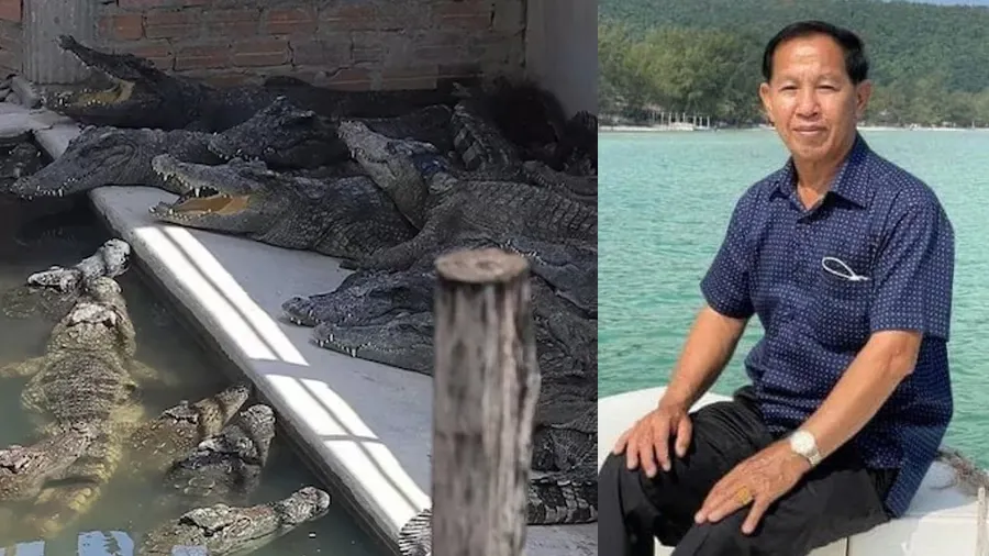 40 મગરોના વાડામાં પડેલા 72 વર્ષના વૃદ્ધનું ફાડી ખાવાથી મોત, એક હાડકું પણ ન મળ્યુ