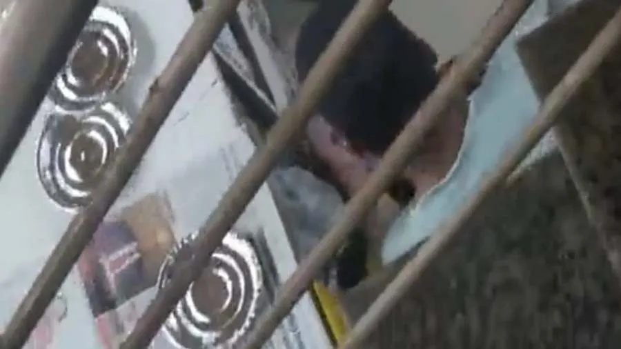 જો તમે પણ મંગાવો છો હોટેલમાંથી ખાવાનું, તો આ Video જરૂર જોજો