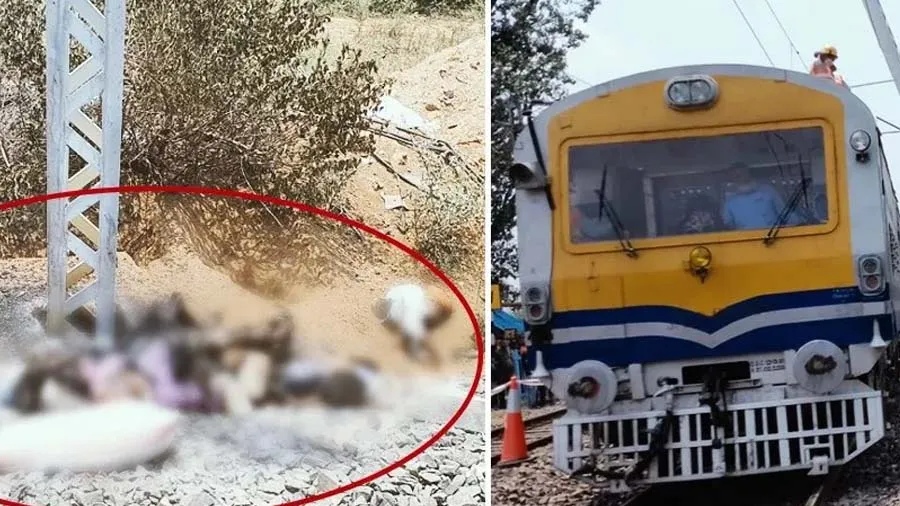 25000 વોલ્ટનો વીજળીનો તાર પડવાના કારણે 5 લોકોના ઘટના સ્થળે જ મોત