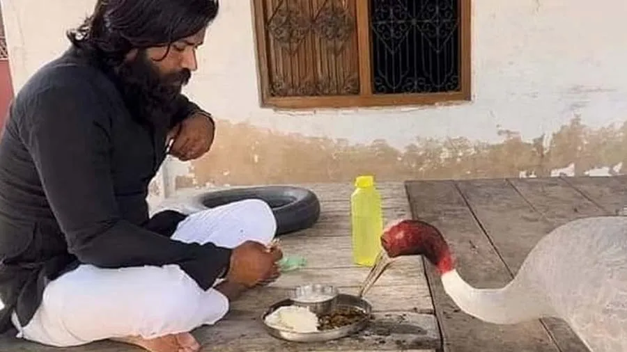 આરિફે સારસને મેગી ખાવાની લગાવી હતી લત,હવે તેને અપાઈ રહી છે પક્ષી બનવાની ટ્રેનિંગ