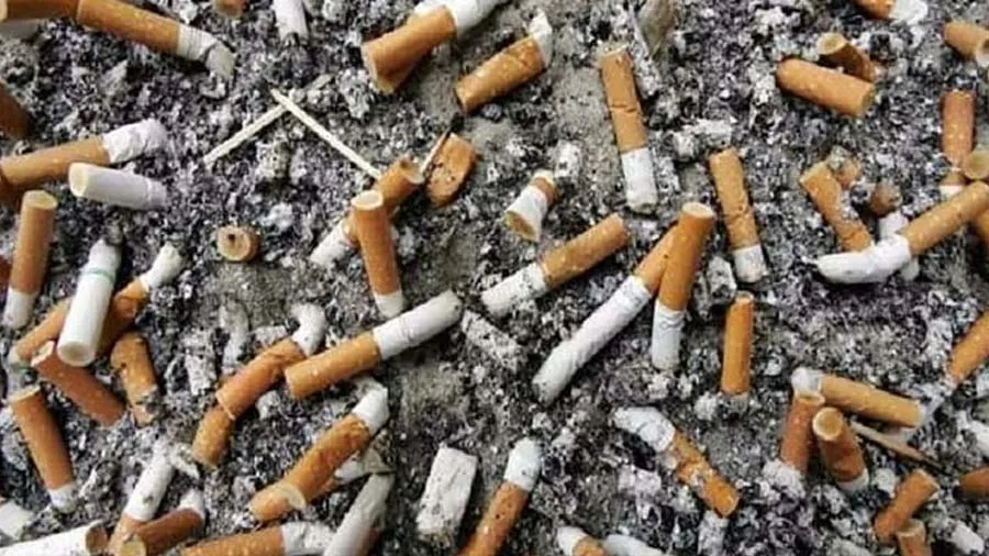 તંબાકુ ઉત્પાદનોથી ભારતમાં નીકળે છે દર વર્ષે 1.7 લાખ ટન કચરો