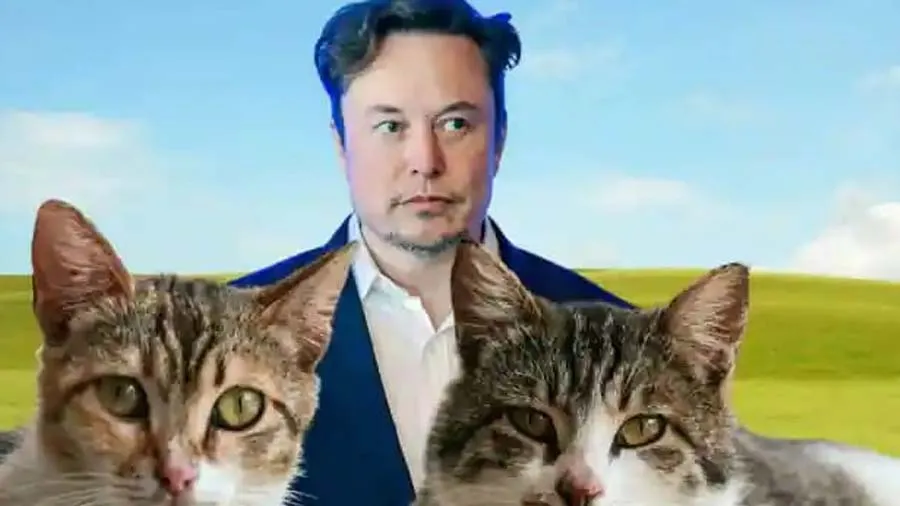 પોલીસમાં કૂતરા હોય છે, પણ બિલાડીઓ કેમ નહીં? દિલ્હી પોલીસે મસ્કને આપ્યો જવાબ