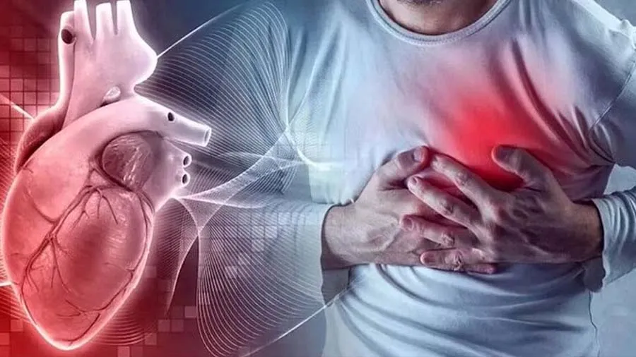 હાલતા-ચાલતા નાની ઉંમરે કેમ આવે છે હાર્ટ ઍટેક?IITના વૈજ્ઞાનિકો શોધી રહ્યા છે કારણ