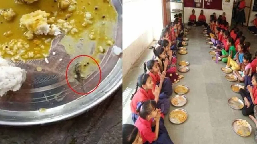 નવસારીની સરકારી શાળાના મધ્યાહન ભોજનમાંથી ગરોળી નિકળતા ખળભળાટ, તપાસના આદેશ