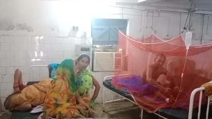 સેલ્ફીમાં ભય; સારો ફોટો પાડવાના નામે પતિને ઝાડ સાથે બાંધી,કેરોસીન છાંટી આગ લગાવી