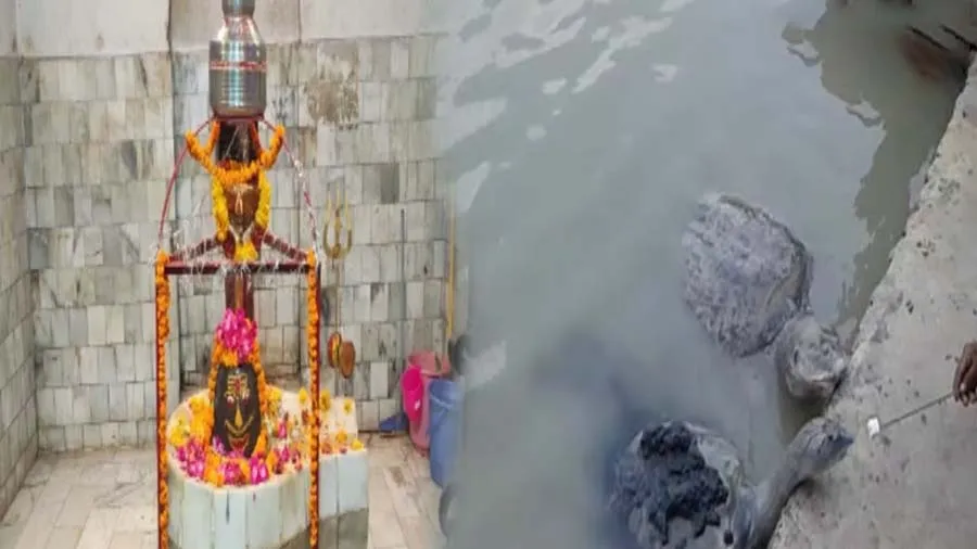 આ મંદિરમાં દર્શન કરવાથી કાલસર્પ દોષથી મળે છે છૂટકારો, કાચબાને પનીર ખવડાવવાથી...