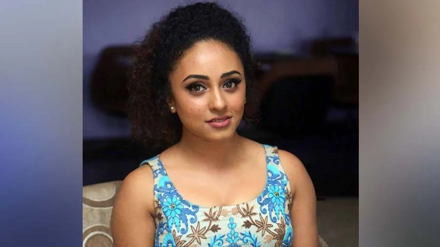 જાણીતા 10 યુટ્યુબર્સને ત્યાં ITના દરોડા, કરોડ કમાતી પિયરલી પણ સંકજામાં