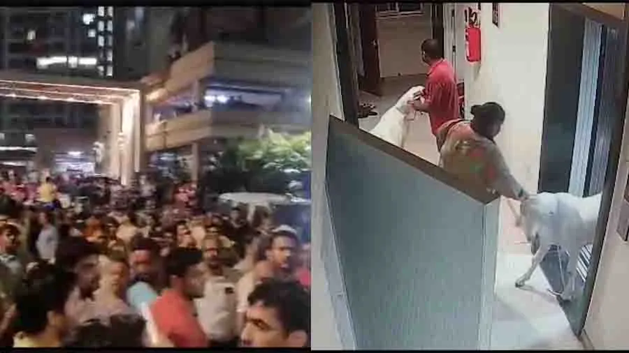 Video: કુરબાની માટે સોસાયટીમાં બકરા લવાતા બબાલ, લોકોએ કર્યા હનુમાન ચાલીસાના પાઠ