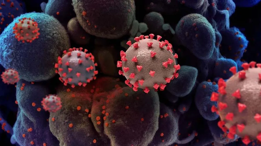 ચીને જાણીજોઈને ફેલાવ્યો કોરોના,બાયોવેપન તરીકે કર્યો ઉપયોગઃચીનના રિસર્ચરનો ખુલાસો