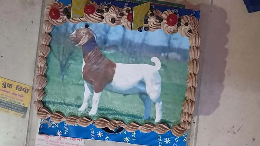 મુસ્લિમ પરિવારે બકરાની કુરબાની આપવાની જગ્યાએ ફોટાવાળી કેક કાપીને મનાવી બકરી ઇદ