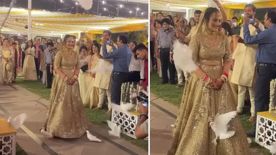 લગ્નમાં દુલ્હનની એન્ટ્રી થઈ ગઈ બરબાદ, માથા પર આવીને બેસી ગયું કબૂતર અને પછી..