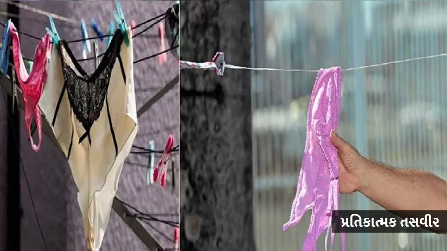 દોરી પર સુકવેલા અંડર ગારમેન્ટ્સ 8 મહિનાથી ચોરી જતો હતો, મહિલાએ આ રીતે પકડ્યો