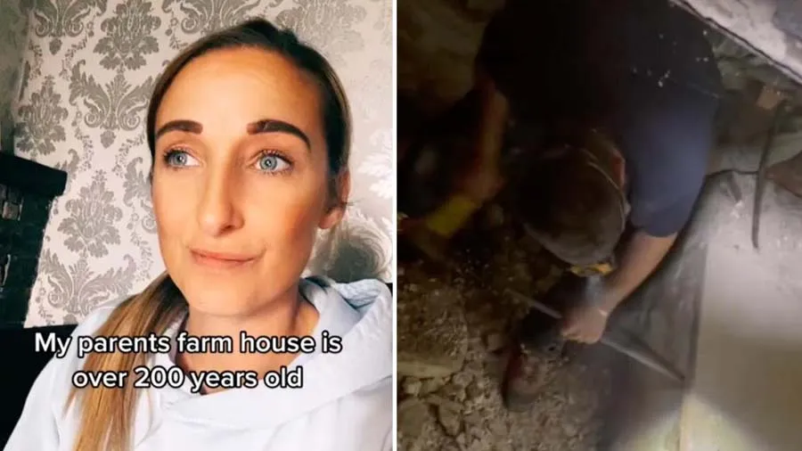 200 વર્ષ જૂના ફાર્મહાઉસમાં મળ્યું ભોંયરુ, વિચાર્યું અંદર ખજાનો હશે, પરંતુ..