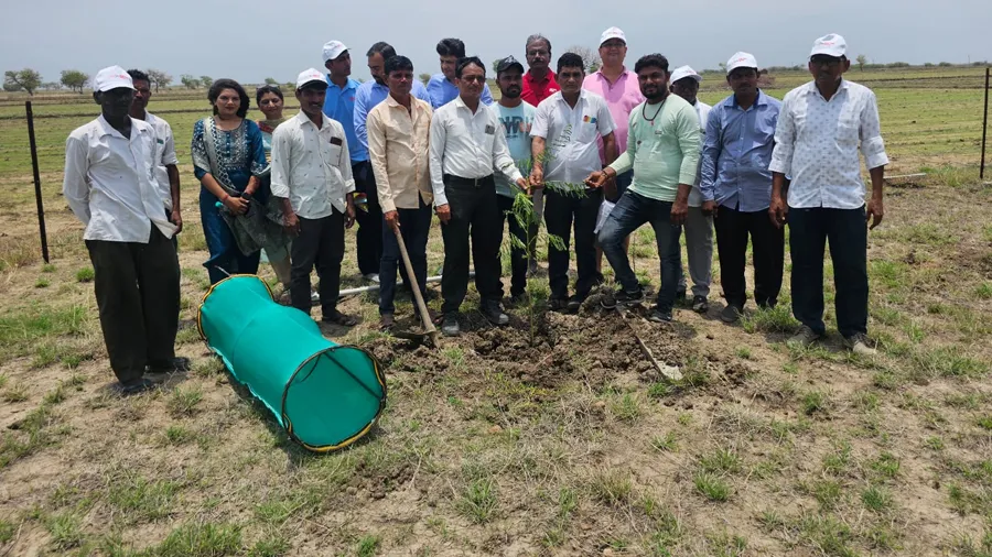 AM/NS Indiaએ મેંન્ગ્રોવ્સ પ્લાન્ટેશન શરૂ કર્યું