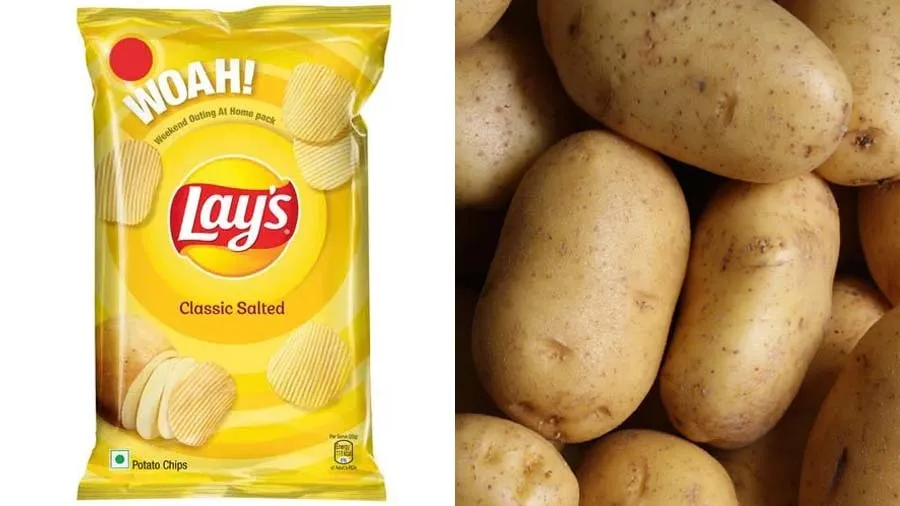 પેપ્સીકોને કોર્ટનો ઝટકો, હવે તમારે ઉગાડવા હોય એટલા પેટન્ટવાળા આ બટેકા ઉગાડો