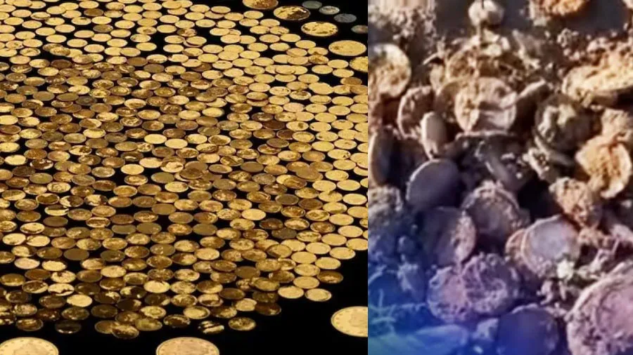 ખેતરમાં ખોદકામ દરમિયાન મળ્યા સોનાના સિક્કા, રાતોરાત બન્યો લખપતિ, જુઓ વીડિયો