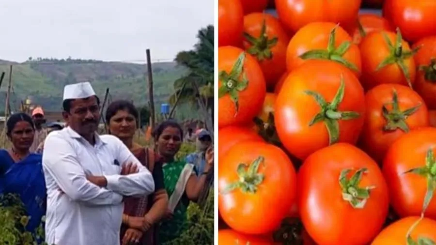 ટામેટાના ભાવ રોકેટગતિએ ઉછળ્યા એમાં પૂણેનો એક ખેડૂત કરોડપતિ બની ગયો